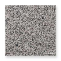 G623 300᤭  (᡼: XRO) (11941XRO)