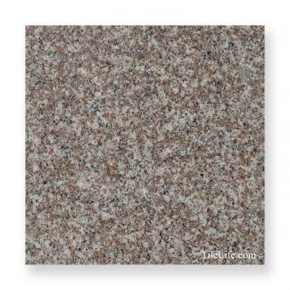 �к�:G664 300�����᤭ ����� (�᡼����: XRO)(11952XRO)