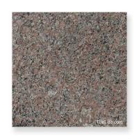 G300 400᤭  (᡼: XRO) (12065XRO)