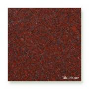 �˥塼����ڥꥢ���å� 600�����᤭ ����� (�᡼����: XRO) (12244XRO)