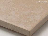 ʥĴ ⾲ 602300 (KTN-T12) (12446KTN)