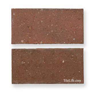 ��󥬡������ǥ˥�:��� P559(12559JTP)