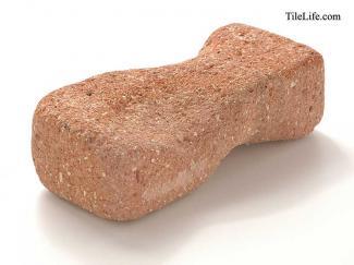 ��󥬡������ǥ˥�:��� P564(12564JTP)