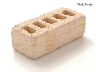 ��󥬡������ǥ˥�:��� P566(12566JTP)