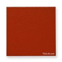 󥳥 ɥ 200 (XTH-T422) (12578XTH)