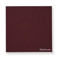 󥳥 ɥ 200 (XTH-T424) (12580XTH)
