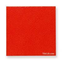 󥳥 ɥ 200 (XTH-T425) (12581XTH)
