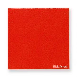 ��󥳥��� ���ɥ����� 200�� (XTH-T425) 12581XTH:��󥳥��� ���ɥ����� 200�� (XTH-T425)(12581XTH)