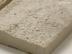 ���ɥ����� �ȼ���ˡ�ϥĥ��̥�����-732 203��64�� (JNK-T6) 12732JNK:���ɥ����� �ȼ���ˡ�ϥĥ��̥�����-732 203��64�� (JNK-T6)(12732JNK)