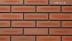 ��¥�����:���ɥ����� ��󥳥��� 227��60�� (SSY-T122)(12916SSY)