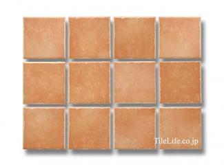 ���������� ��󥳥��� 99�� (XTH-T434) 12948XTH:���������� ��󥳥��� 99�� (XTH-T434)(12948XTH)