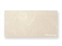 ɥ 600300 (CGN-T6) (13061CGN)