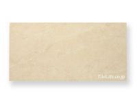 ɥ 600300 (CGN-T7) (13062CGN)