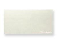 ɥ 600300 (CGN-T8) (13063CGN)