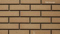 ˡѥ 󥳥 22760 (SSY-T163) (13262SSY)