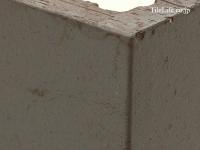ʡ 󥳥 16860 (SSY-T188) (13303SSY)