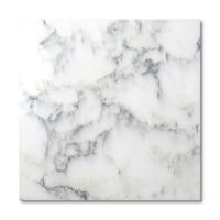 ٥ 400 (᡼: SXE) (13478SXE)