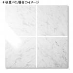 ӥ󥳥 400 (᡼: SXE) (13486SXE)