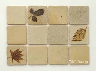 ���ͤ��꥿���� (���������ʤ�) 85�� (KOM-T62) 13688KOM:���ͤ��꥿���� (���������ʤ�) 85�� (KOM-T62)(13688KOM)