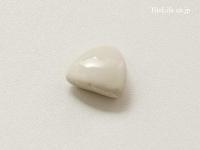 ʡ ѽж 25 (TPC-T192) (13725TPC)