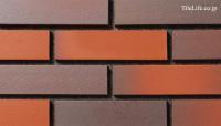 ݥ   22760 (SSY-T219) (13784SSY)