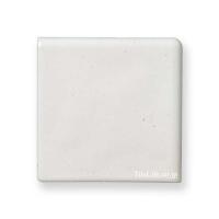 ʡ ξ̼ 100 (TPC-T200) (13796TPC)