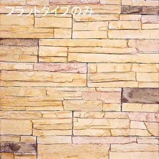 ���ɥ�����:�����кࡦ�����ȷϿ�¤��(13920KKK)