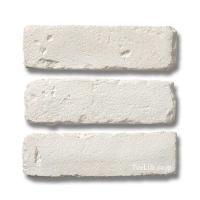 ȷϥ֥å  ¤ ¾ 20090 (KKK-T1) (13925KKK)