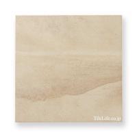 ʥĴ ⾲ 338 (SRM-T35) (13971SRM)