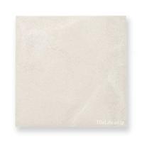 ʥĴ  296 (SRM-T53) (13989SRM)
