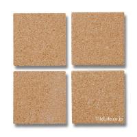 Ĵ 100 (RCA-T198) (14028RCA)