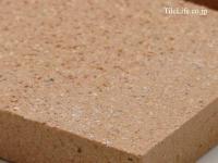 Ĵ 100 (RCA-T198) (14028RCA)