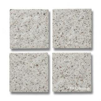 ��������:�����Ĵ������ 100�� (RCA-T201)(14031RCA)