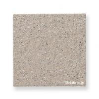 Ĵ 140 (RCA-T207) (14037RCA)