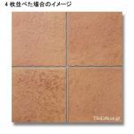 ʥĴ  ʥ뤢 300 (KNK-T82) (14086KNK)