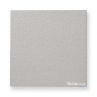 ʥĴ  302 (XTH-T538) (14256XTH)