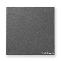 ʥĴ  303 (XTH-T540) (14258XTH)