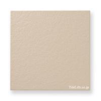 ʥĴ  302 (XTH-T542) (14260XTH)