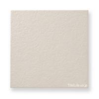 ʥĴ  303 (XTH-T545) (14263XTH)