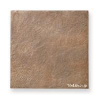 ʥĴ ⾲ 309 (XTH-T547) (14290XTH)