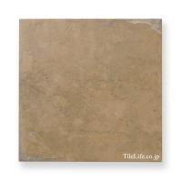 ʥĴ ⾲ 309 (XTH-T548) (14291XTH)