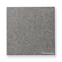 Ĵ 300 (XTH-T553) (14340XTH)