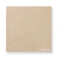 Ĵ 300 (XTH-T554) (14341XTH)