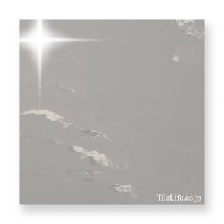 �᤭������ (���̥�����) 396�� (XTH-T564) 14536XTH:�᤭������ (���̥�����) 396�� (XTH-T564)(14536XTH)