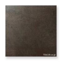  445 (XTH-T585) (14843XTH)