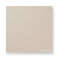 ʥĴ  308 (XTH-T587) (14845XTH)