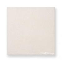 ʥĴ  300 (RCA-T265) (14853RCA)