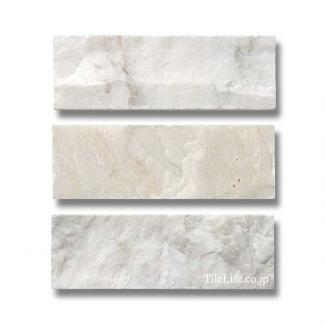 �к�:���� ���ȩ�����Х����� (�᡼����: CGN)(14884CGN)