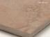 �к�:�������ĥ����� 400�����᤭ ����� (�᡼����: CGN)(14897CGN)