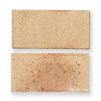 ��󥬡������ǥ˥�:�ߥ�� P953(14953JTP)